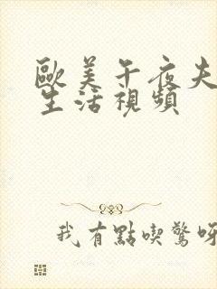 欧美午夜夫妻性生活视频