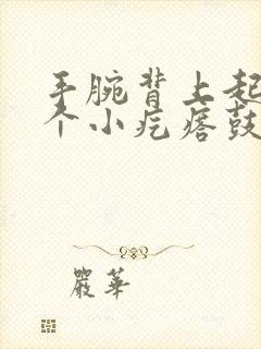 手腕背上起了一个小疙瘩鼓起硬硬的