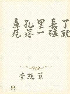 鼻孔里长了个红疙瘩一碰就疼