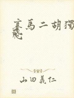 赛马二胡独奏宋飞