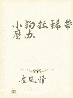 小狗拉稀带血怎么办