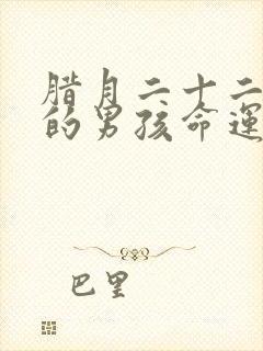 腊月二十二出生的男孩命运