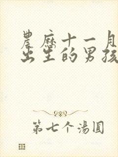 农历十一月初一出生的男孩命运