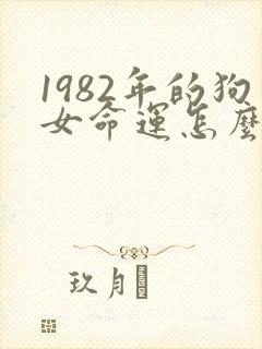 1982年的狗女命运怎么样