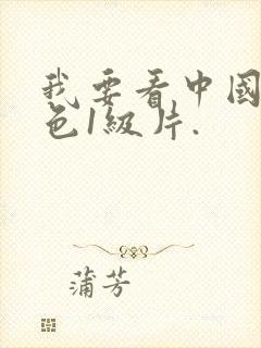 我要看中国的黄色1级片.