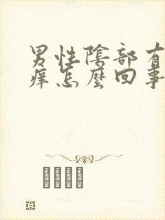 男性阴部有疙瘩痒怎么回事