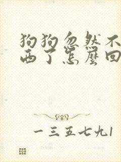 狗狗忽然不吃东西了怎么回事