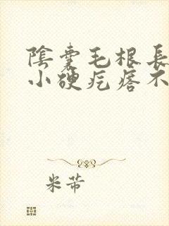 阴囊毛根长了个小硬疙瘩不痛不痒