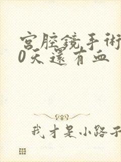 宫腔镜手术后40天还有血