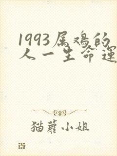 1993属鸡的人一生命运如何
