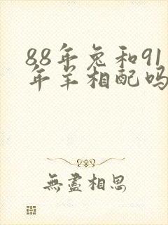 88年兔和91年羊相配吗