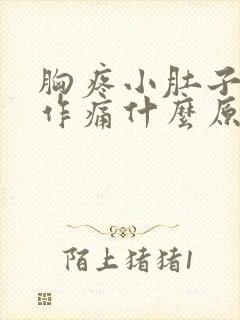 胸疼小肚子隐隐作痛什么原因封面