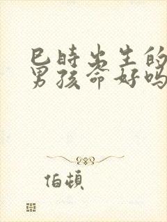 巳时出生的属蛇男孩命好吗?