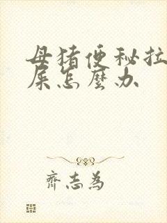 母猪便秘拉不出屎怎么办