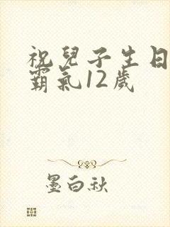 祝儿子生日短句霸气12岁封面