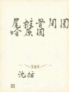 尾椎骨周围疼是啥原因