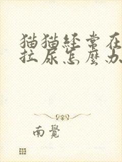 猫猫经常在床上拉尿怎么办封面