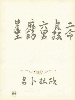 农历六月二十出生的男孩命运封面