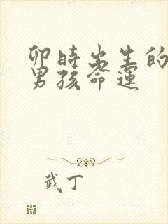 卯时出生的属龙男孩命运