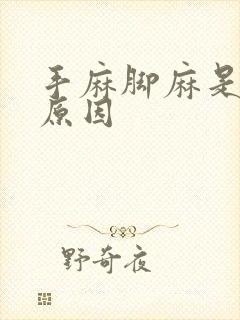 手麻脚麻是什么原因