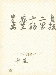 农历十二月十二出生的男孩命运怎么样