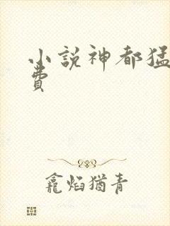 小说神都猛虎免费封面