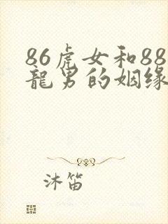 86虎女和88龙男的姻缘封面