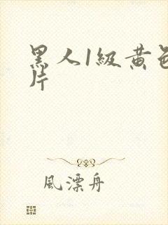 黑人1级黄色大片