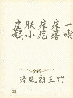 皮肤痒痒一挠就起小疙瘩吃什么药封面