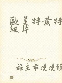 欧美特黄特黄一级片