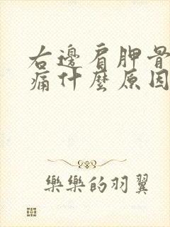 右边肩胛骨下面痛什么原因引起的