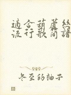 适合葫芦丝吹的流行歌简谱封面