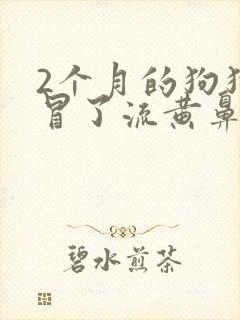 2个月的狗狗感冒了流黄鼻涕