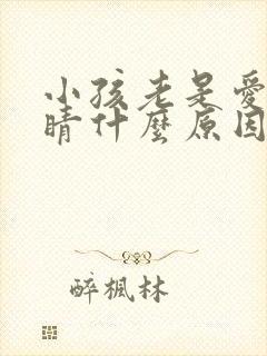 小孩老是爱眨眼睛什么原因封面