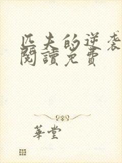 匹夫的逆袭免费阅读免费