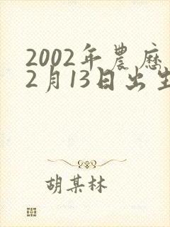 2002年农历2月13日出生的男孩命运