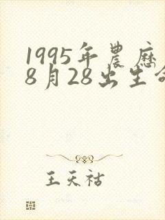 1995年农历8月28出生命运怎么样
