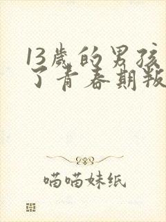 13岁的男孩到了青春期叛逆怎么教