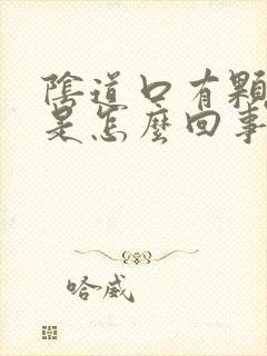 阴道口有颗粒状是怎么回事