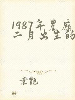 1987年农历二月出生的兔人命运如何