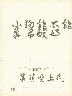 小狗能不能喝安慕希酸奶封面