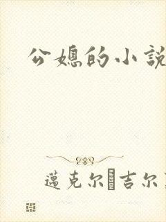 公媳的小说