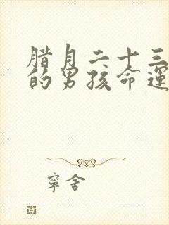 腊月二十三出生的男孩命运封面