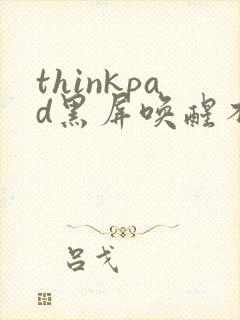 thinkpad黑屏唤醒不了