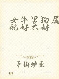 女牛男狗属相婚配好不好