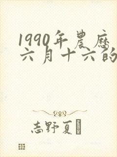 1990年农历六月十六的命运