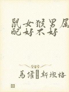 鼠女猴男属相婚配好不好