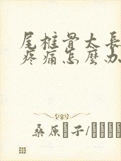 尾椎骨太长久坐疼痛怎么办