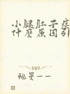 小腿肚子痉挛是什么原因引起的