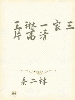 王琳一家三口照片高清